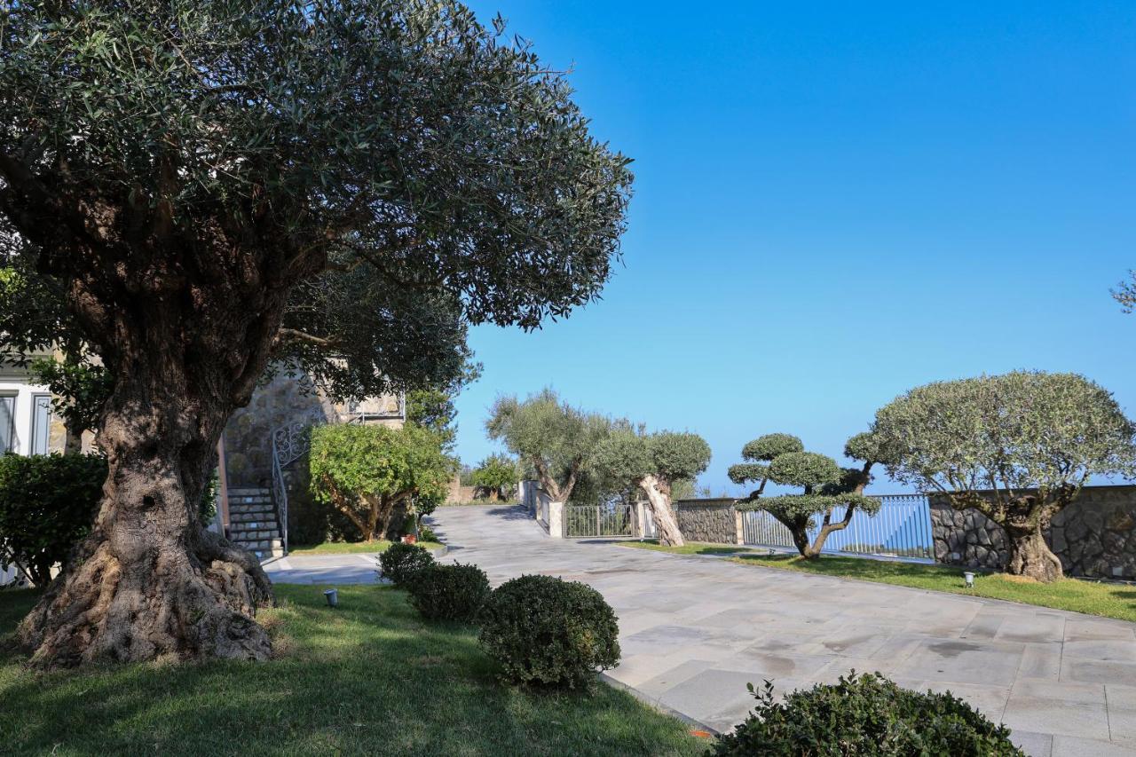 Villa Italia Sorrento Termini エクステリア 写真
