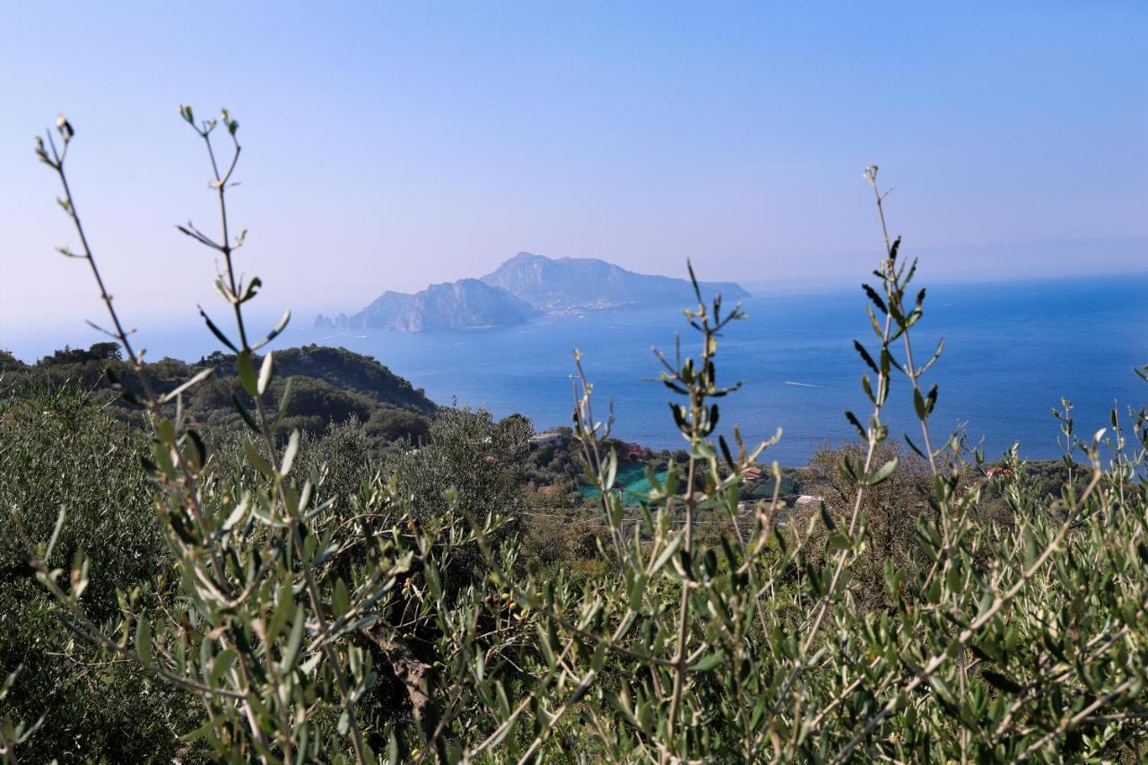 Villa Italia Sorrento Termini エクステリア 写真